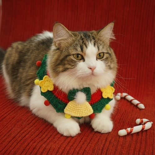 Christmas Star and Bell Collar