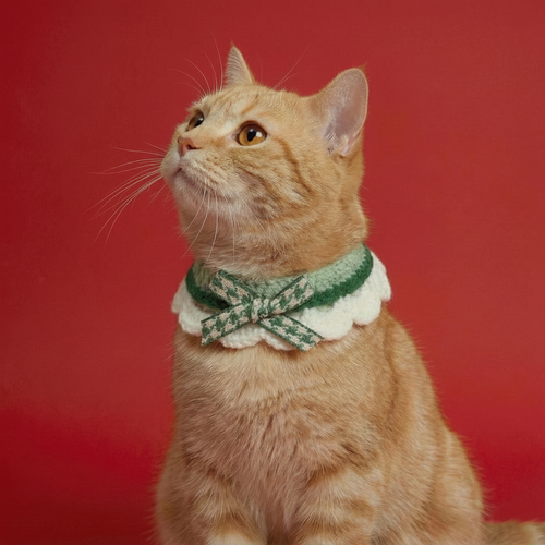 Sophisticated Fancy Crocheted Collar