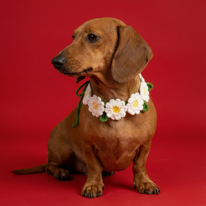 Daisy Flower Collar