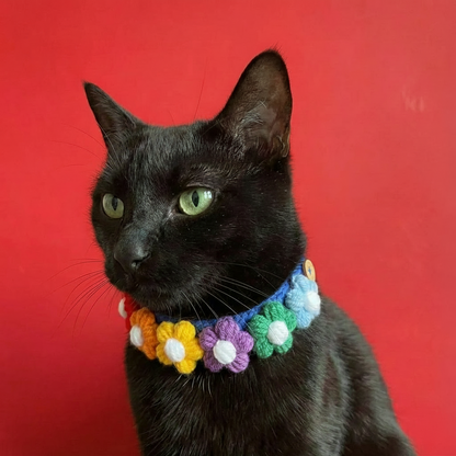 Multi-Colored Flower Collar