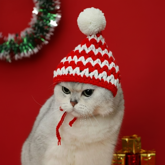 Elf Style Christmas Hat