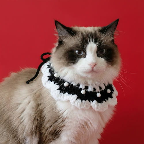 Black and White Pet Collar