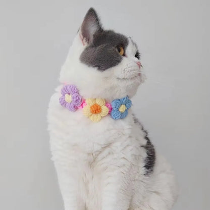 Multi-Colored Flower Collar