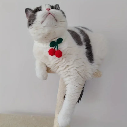 Simple Cherry Collar