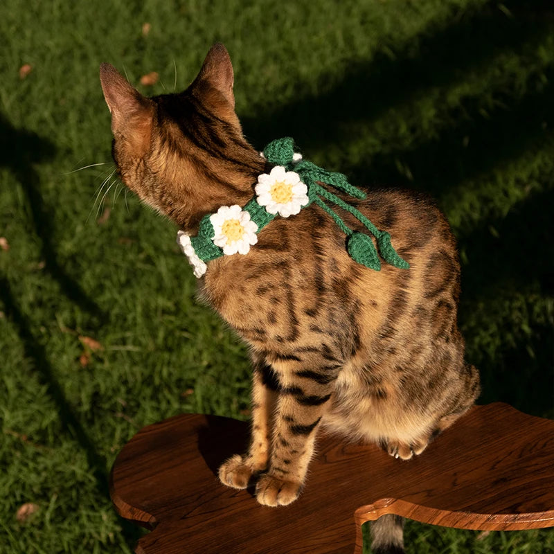 Daisy Flower Collar
