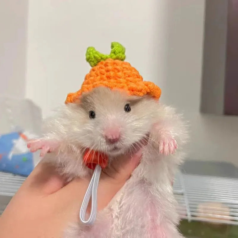 Mini Knitted Hats for Small Pets