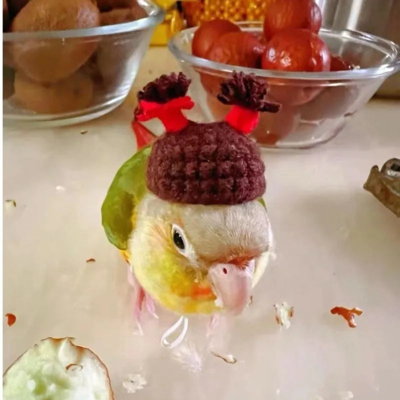 Mini Knitted Hats for Small Pets