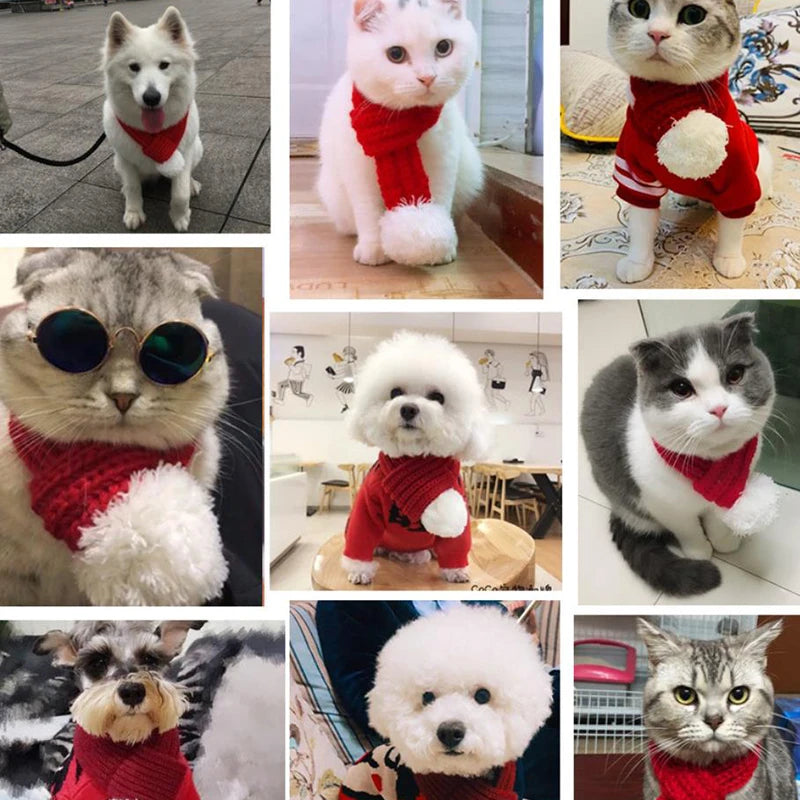 Festive Knitted Pet Scarf