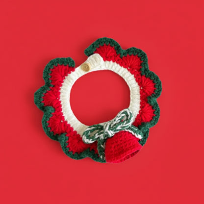 Best of Festive Pet Outfits