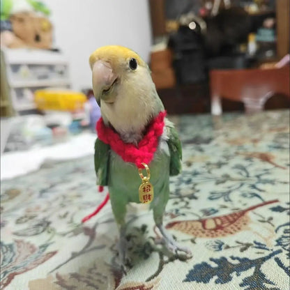 Mini Knitted Hats for Small Pets