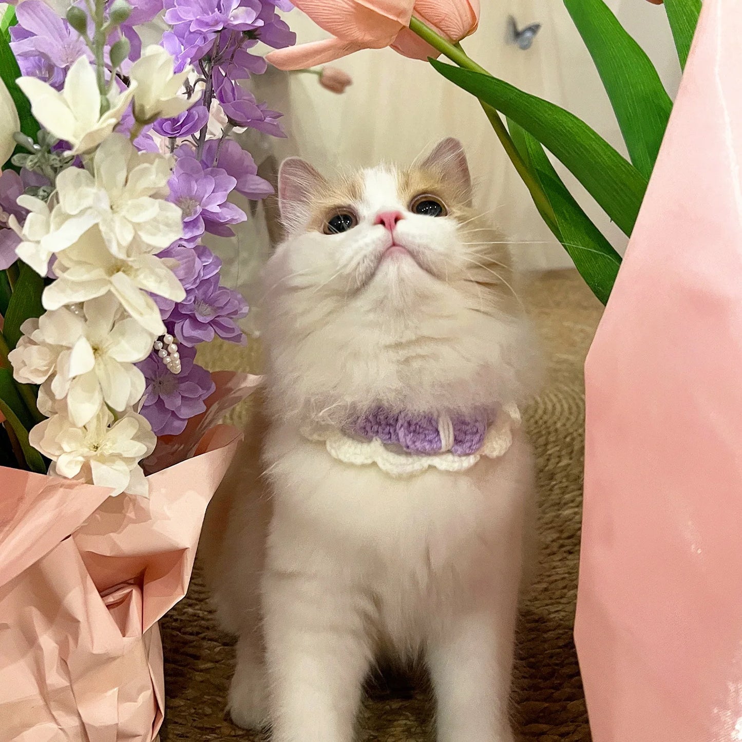 Pastel Colored Crochet Pet Collar