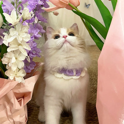 Pastel Colored Crochet Pet Collar