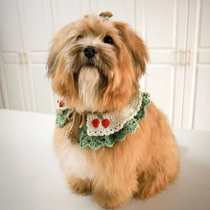 Knitted Fruit Collar and Flower Collar
