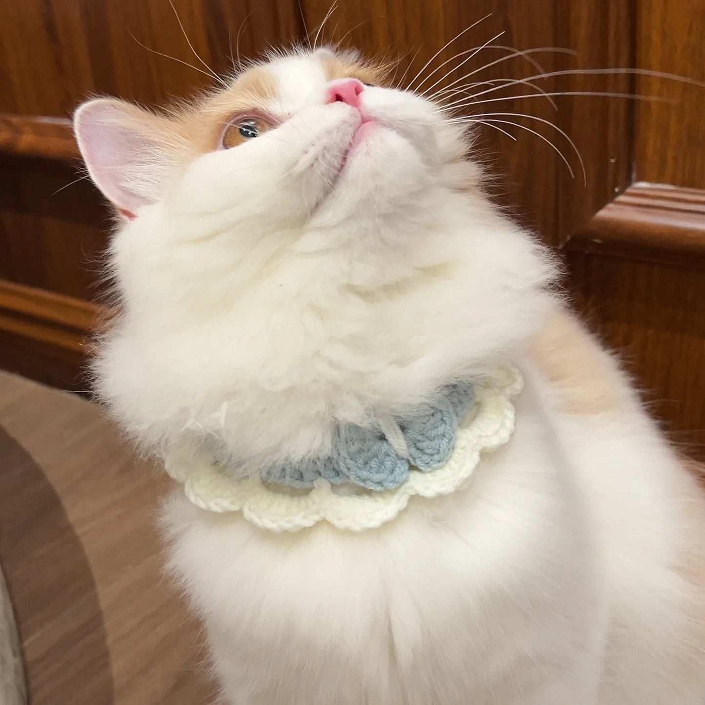 Pastel Colored Crochet Pet Collar