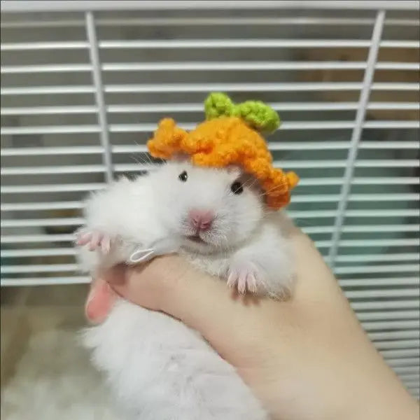 Mini Knitted Hats for Small Pets