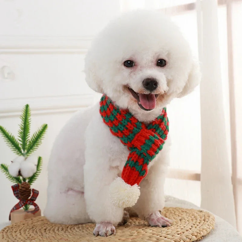 Festive Knitted Pet Scarf