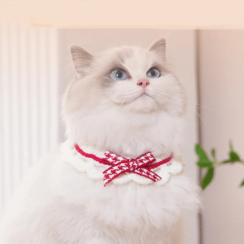 Sophisticated Fancy Crocheted Collar