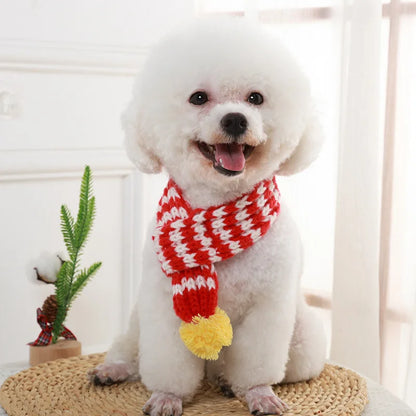 Festive Knitted Pet Scarf