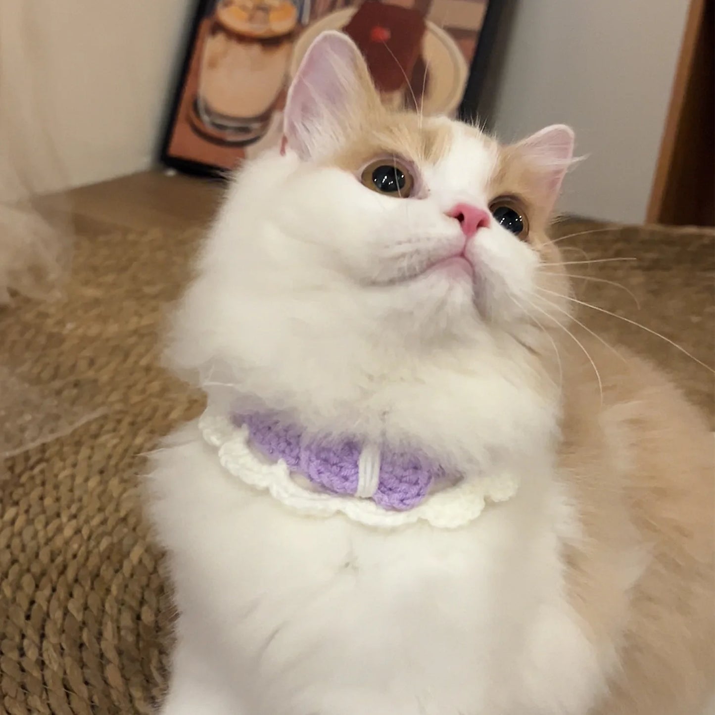 Pastel Colored Crochet Pet Collar