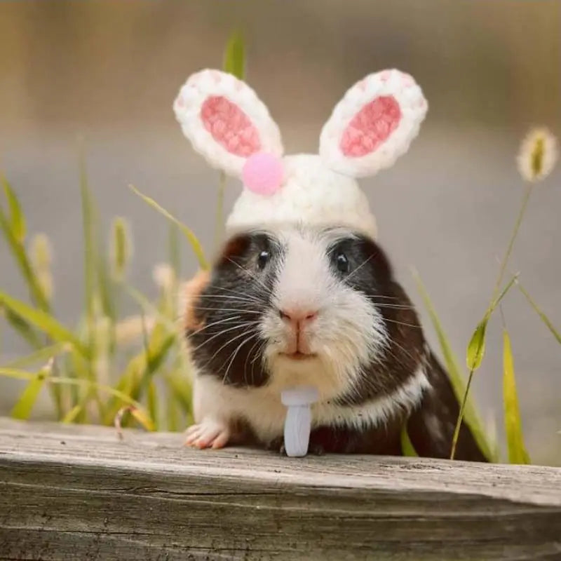 Mini Knitted Hats for Small Pets