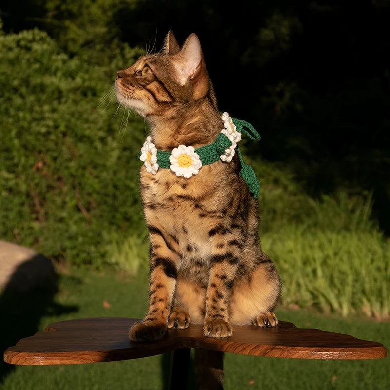Daisy Flower Collar