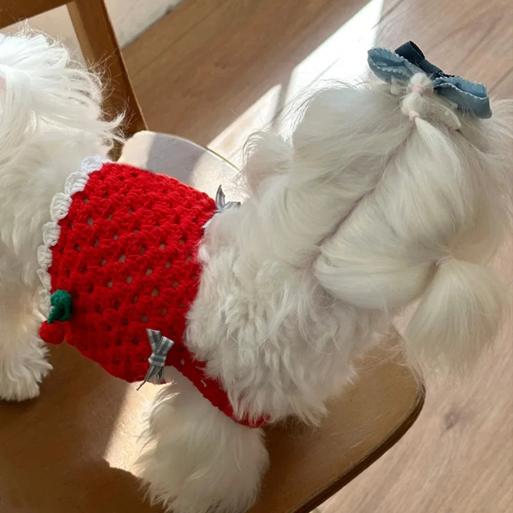 Knitted Cherry Vest and Black Dress