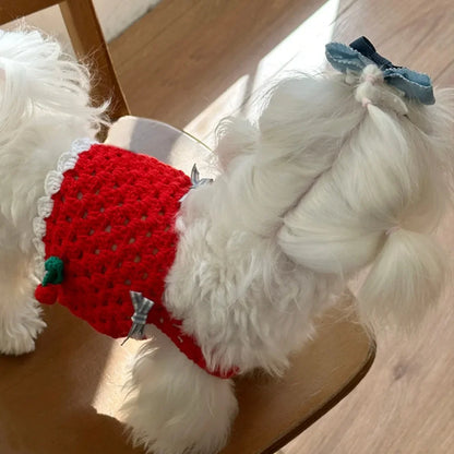 Knitted Cherry Vest and Black Dress