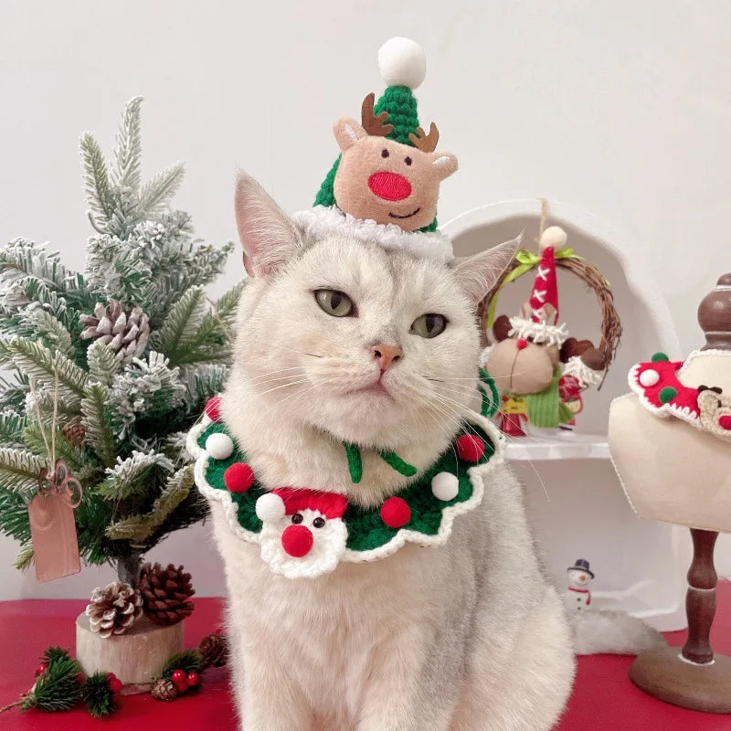 Knitted Festive Collar and Knit Hat